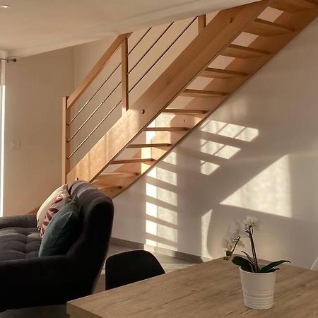 Appartement Dans Une Grange Renovee Στρασβούργο Εξωτερικό φωτογραφία