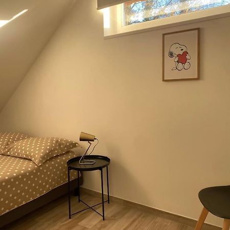 Appartement Dans Une Grange Renovee Στρασβούργο Εξωτερικό φωτογραφία