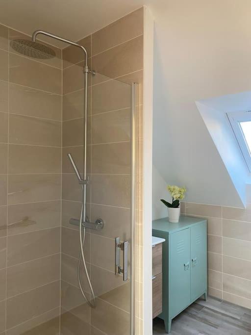 Appartement Dans Une Grange Renovee Στρασβούργο Εξωτερικό φωτογραφία